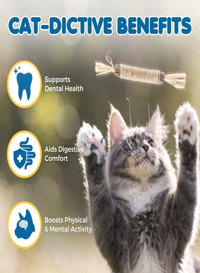 SunGrow Silvervine Sticks with Gall Fruit for Cats, Delicious Pet Snack for Kittens, Rabbits, Dogs, Oral Care Companion, Teething Chews, Chewing Treats with Bell, 7.7” (h) x 0.8 “(w), 5 Pieces - Image 3